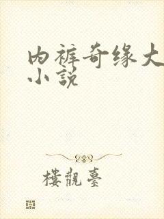 内裤奇缘大团结小说