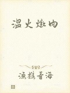 温火炖肉