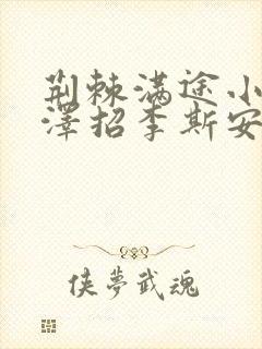 荆棘满途小说李泽招李斯安封面