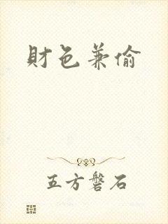 财色兼偷封面