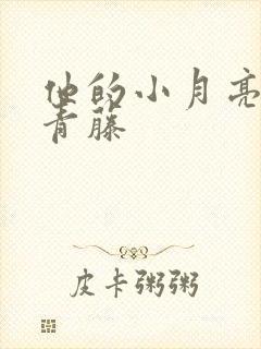 他的小月亮by青藤