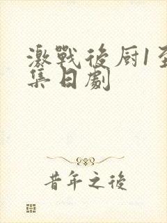 激战后厨1至5集日剧封面