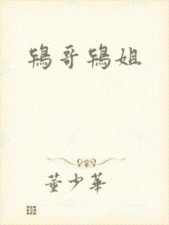鸨哥鸨姐封面