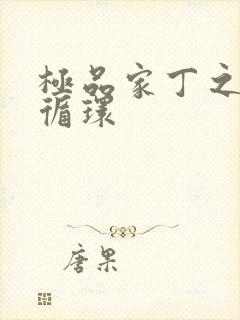 极品家丁之因果循环