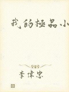 我的极品小姨封面