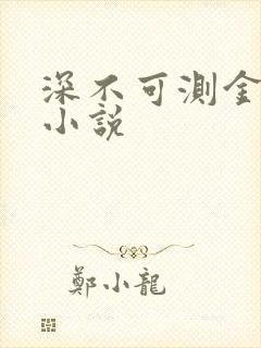 深不可测金银花小说