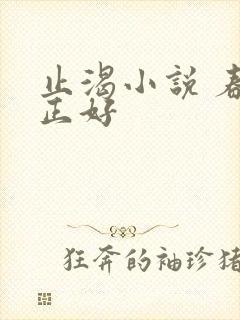 止渴小说 春光正好