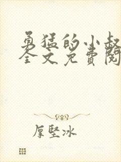 勇猛的小叔小说全文免费阅读