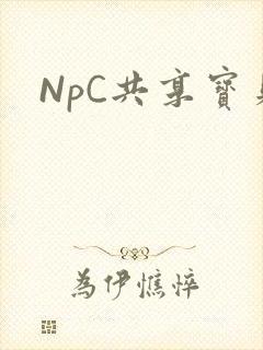 NpC共享宝贝