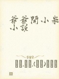 爷爷开小米的包小说封面