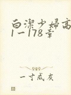 白洁少妇高义第1一178章