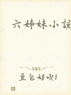 六姊妹小说
