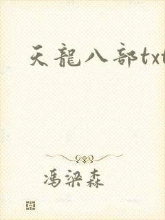 天龙八部txt