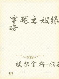 穿越之姻缘劫攻略封面