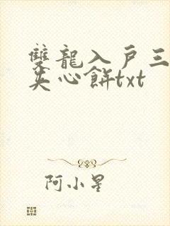 双龙入户三人行夹心饼txt
