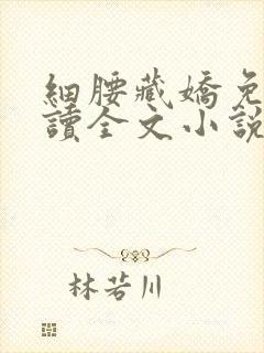 细腰藏娇免费阅读全文小说苏珞浅