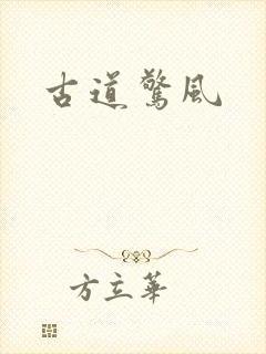 古道惊风封面