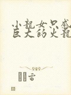小龙女只感觉那巨大的火龙枪