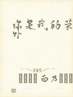 你是我的荣耀番外