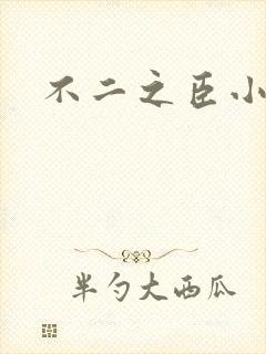 不二之臣小说封面