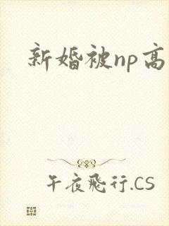 新婚被np高h