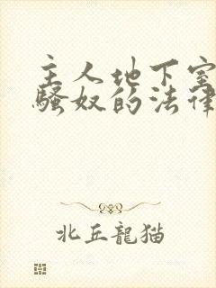 主人地下室惩罚骚奴的法律后果封面