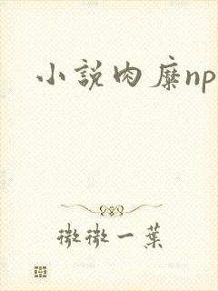 小说肉糜np