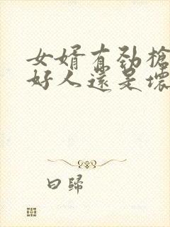 女婿有劲枪枪是好人还是坏人