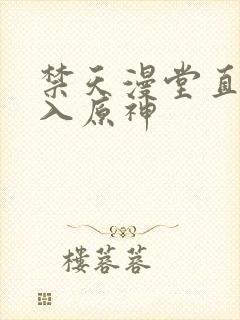 禁天漫堂直接进入原神