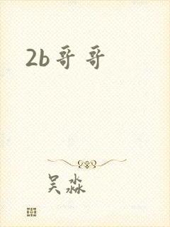 2b哥哥