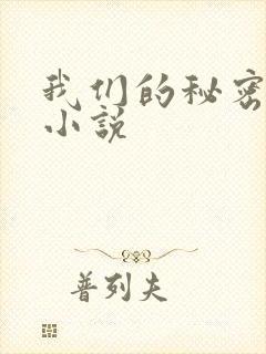我们的秘密泰剧小说