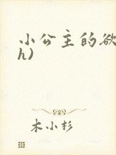 小公主的欲奴(h)