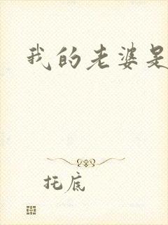 我的老婆是军阀