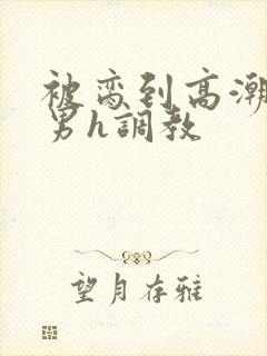 被脔到高潮的直男h调教