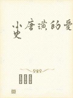 小唐璜的爱情历史封面