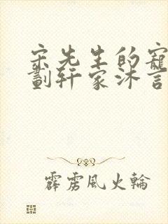 宋先生的宠妻计划轩家沐言封面