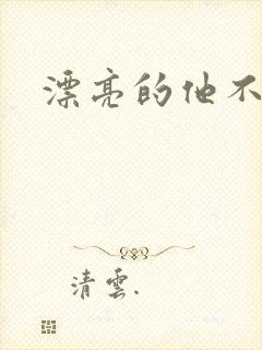 漂亮的他不说话