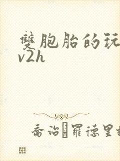 双胞胎的玩具1v2h