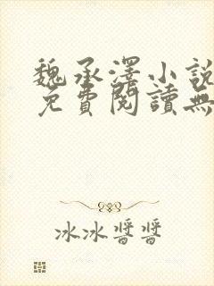 魏承泽小说全文免费阅读无弹窗笔趣封面