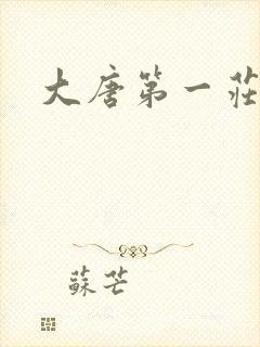 大唐第一庄