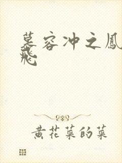 慕容冲之凤凰于飞