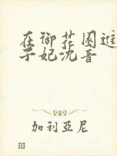 在御花园进入太子妃沈音