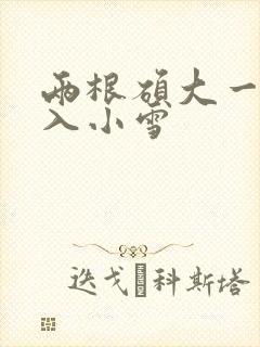 两根硕大一起挤入小雪