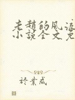 老赵的风流人生小说全文免费阅读