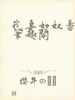 我妻如奴番外篇笔趣阁