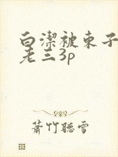 白洁被东子老二老三3p
