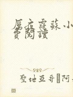 厉夜霆苏小汐免费阅读封面