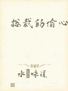 总裁的偷心娇妻