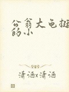 公翁大龟挺进我的小