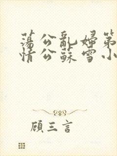 荡公乱妇第1章情公苏雪小说